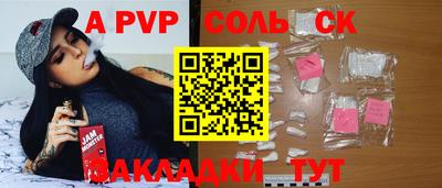 индика Гатчина