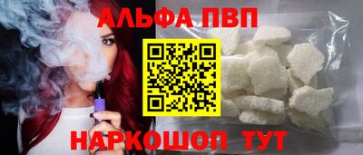 индика Гатчина