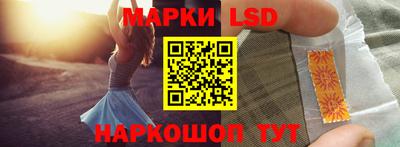 индика Гатчина