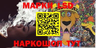 индика Гатчина