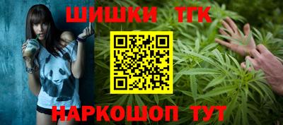 индика Гатчина