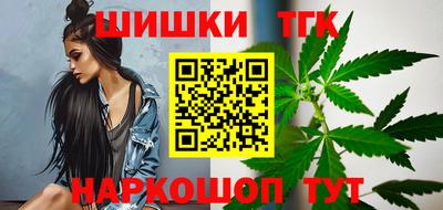 индика Гатчина