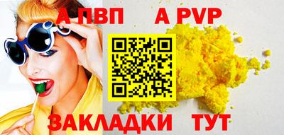 индика Гатчина