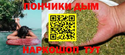 индика Гатчина