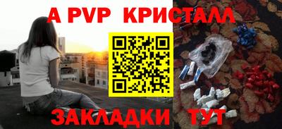 индика Гатчина