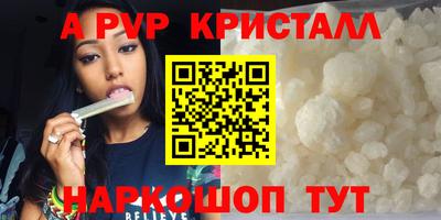 индика Гатчина
