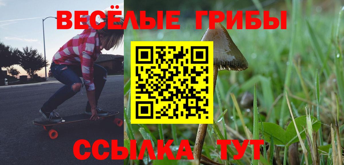 Пугачёв  Псилоцибиновые грибы Magic Shrooms  Вход с VPN 