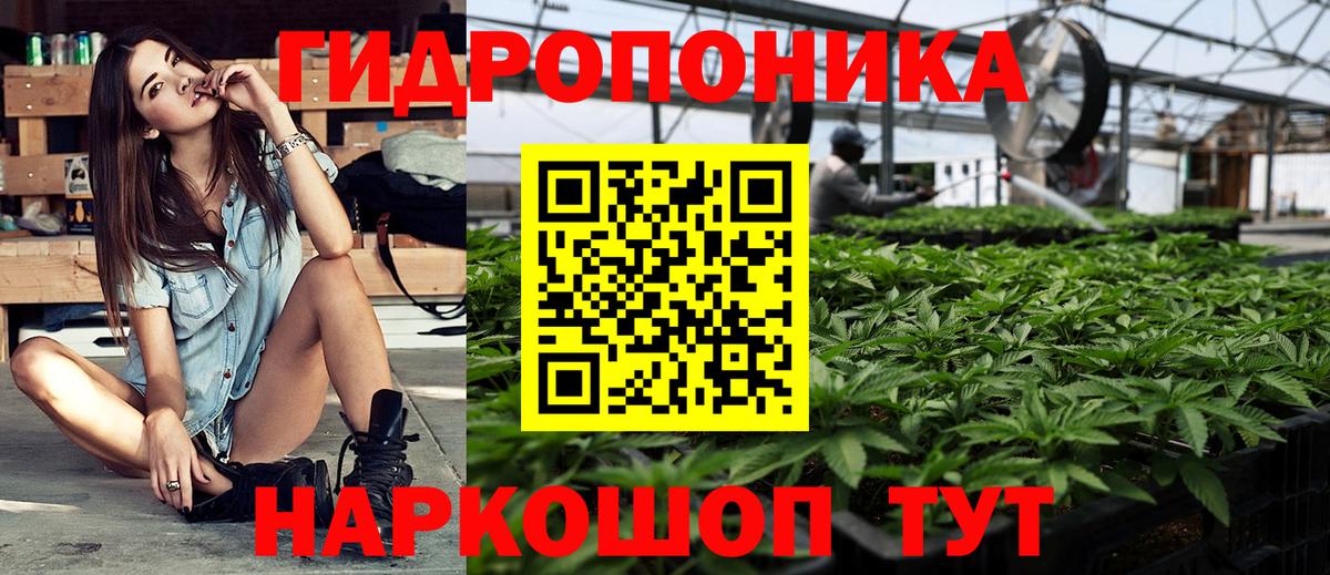 Марихуана White Widow Пугачёв